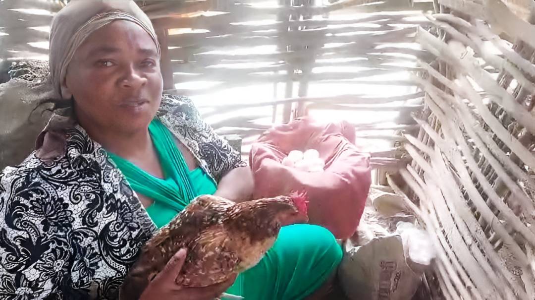 A beneficiary with chickens received through the Northwest Haiti distribution program